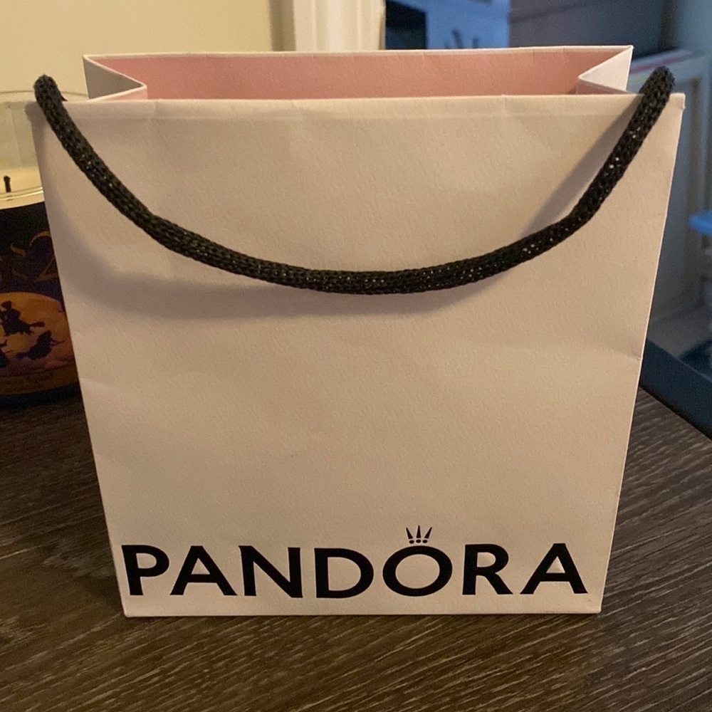 PANDORA Small Empty Gift Bag